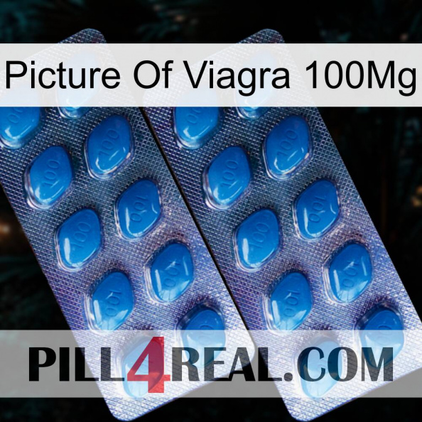 Picture Of Viagra 100Mg viagra2.jpg